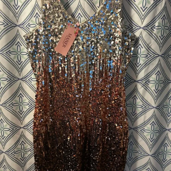 NWT Sequin Ombre Sleeveless Dress w/Perfectly in Tact Embellishments and Lined - Picture 2 of 16